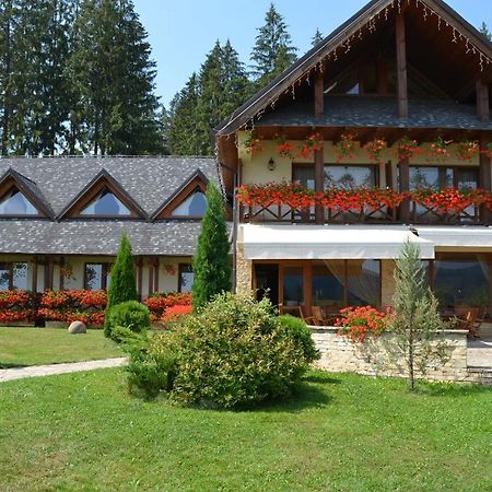 Pensiunea Inima Bucovinei Frasin Exteriér fotografie