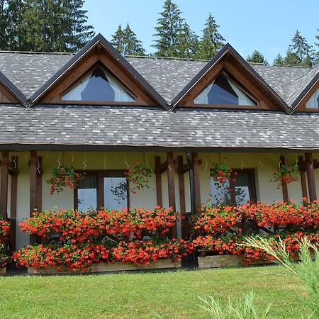 Pensiunea Inima Bucovinei Frasin Exteriér fotografie