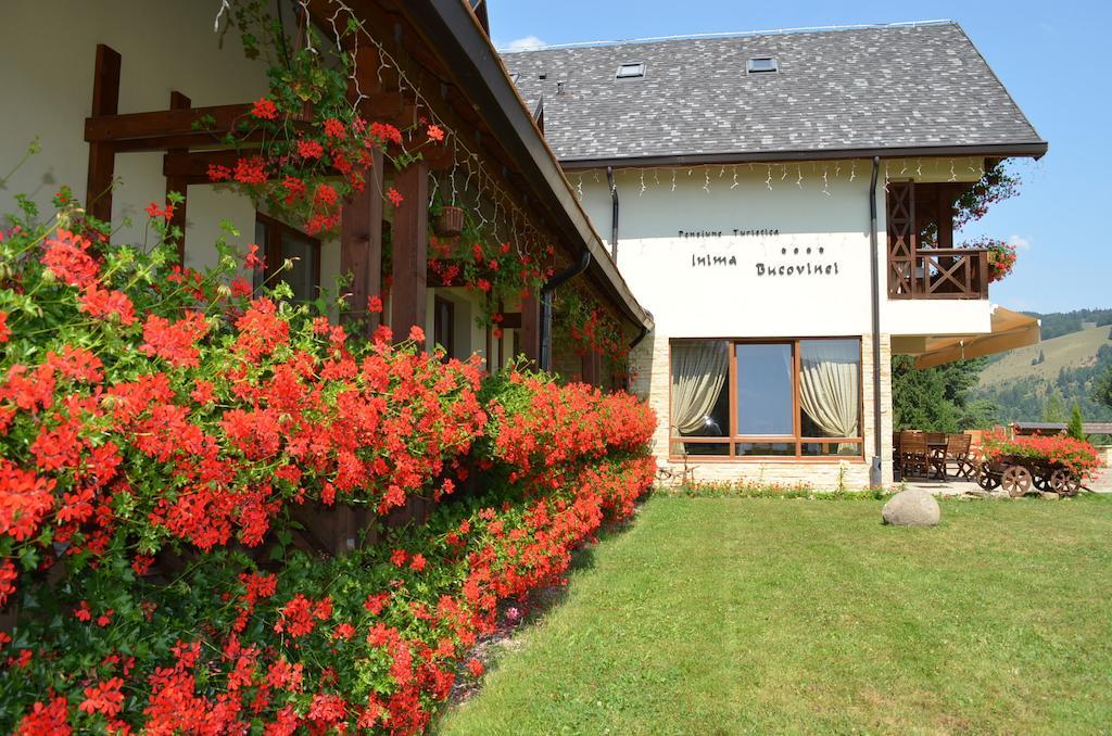 Pensiunea Inima Bucovinei Frasin Exteriér fotografie